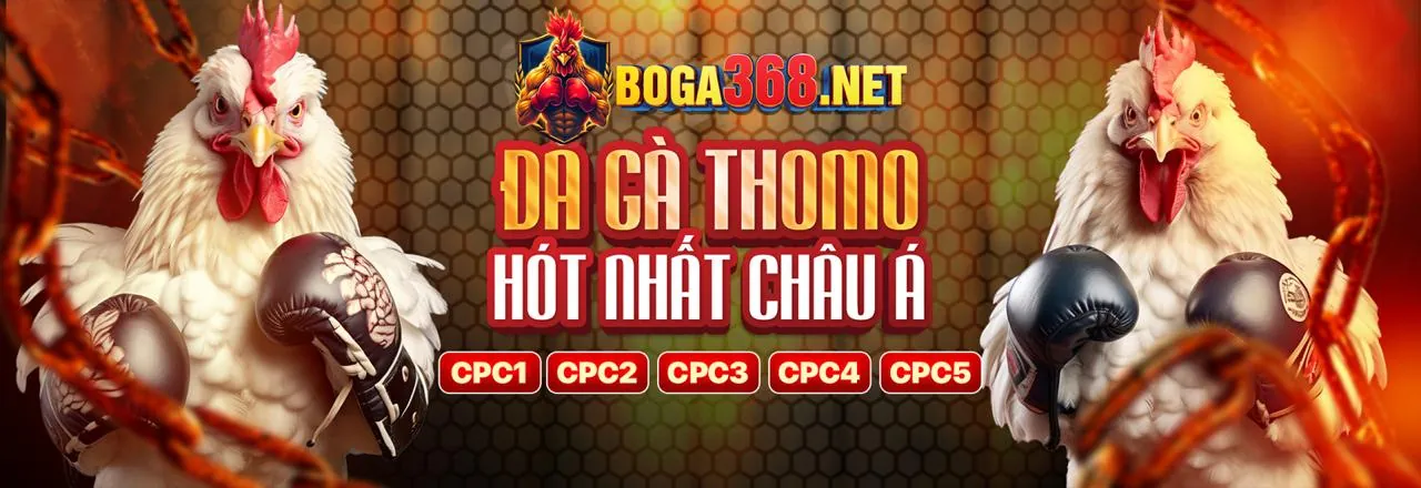 Các chương trình khuyến mãi độc quyền của 28bet khuyến mãi